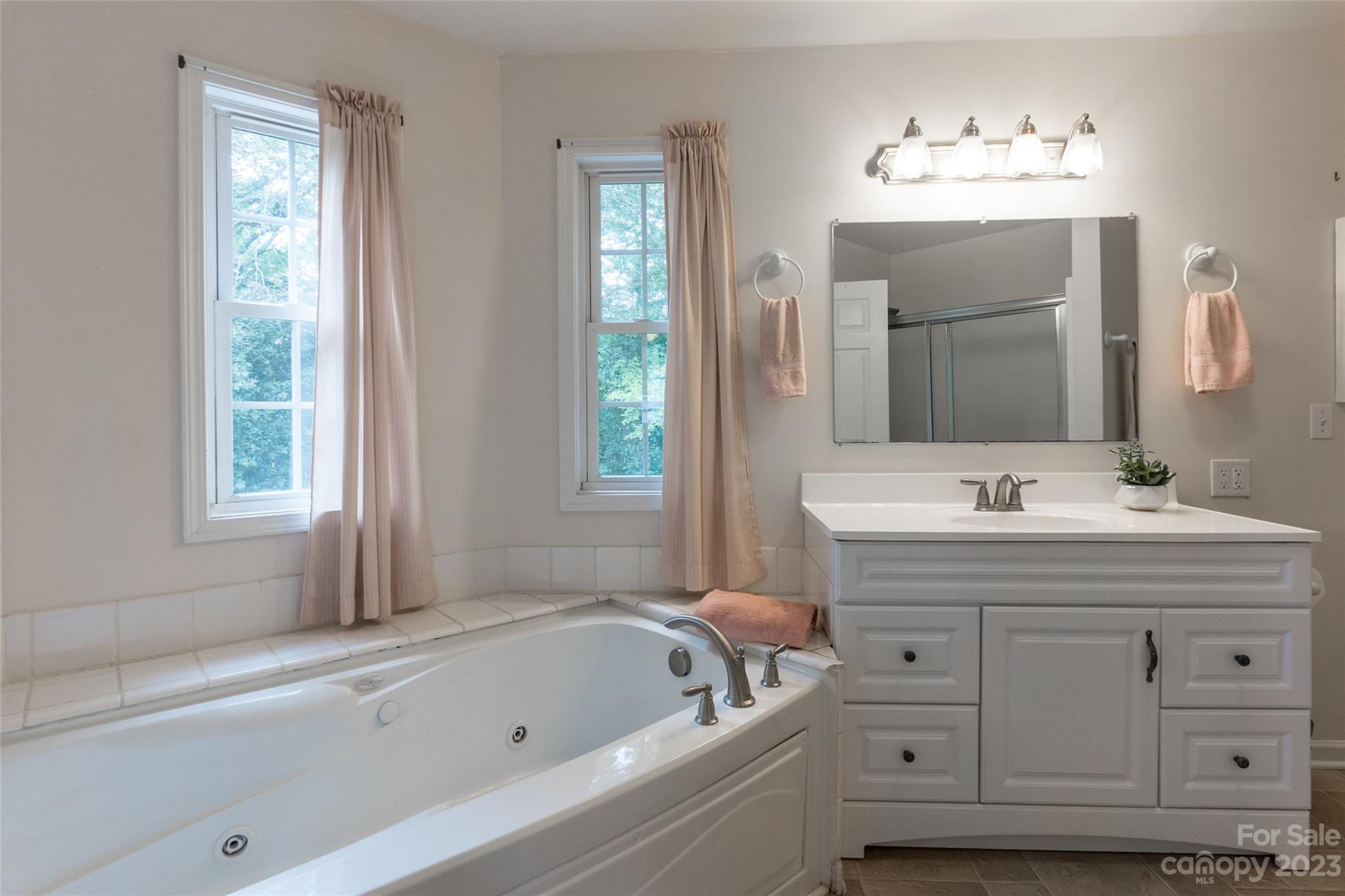 2070 Smithford Road Hickory Grove, SC 29717 - Photo 33 of 39 a bathroom with a tub a sink and mirror