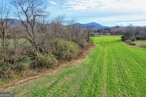 a view of an outdoor space and a yard