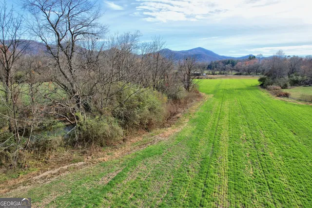 a view of an outdoor space and a yard
