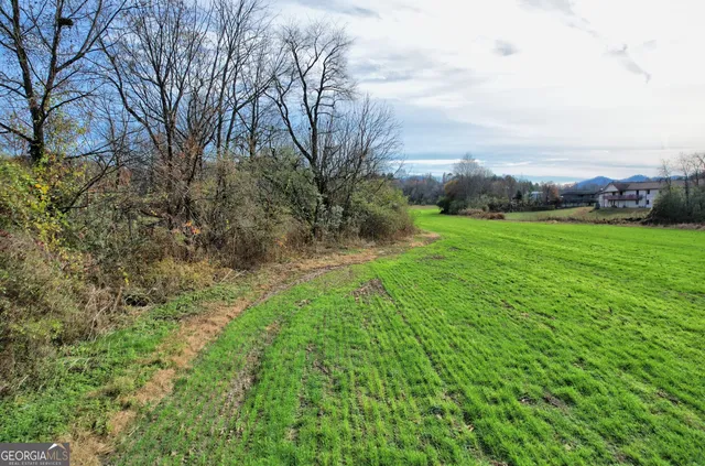 a view of a garden with an trees