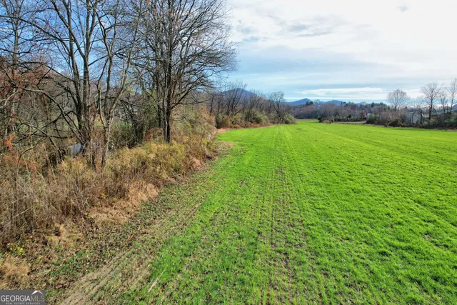 a view of a city with lush green forest