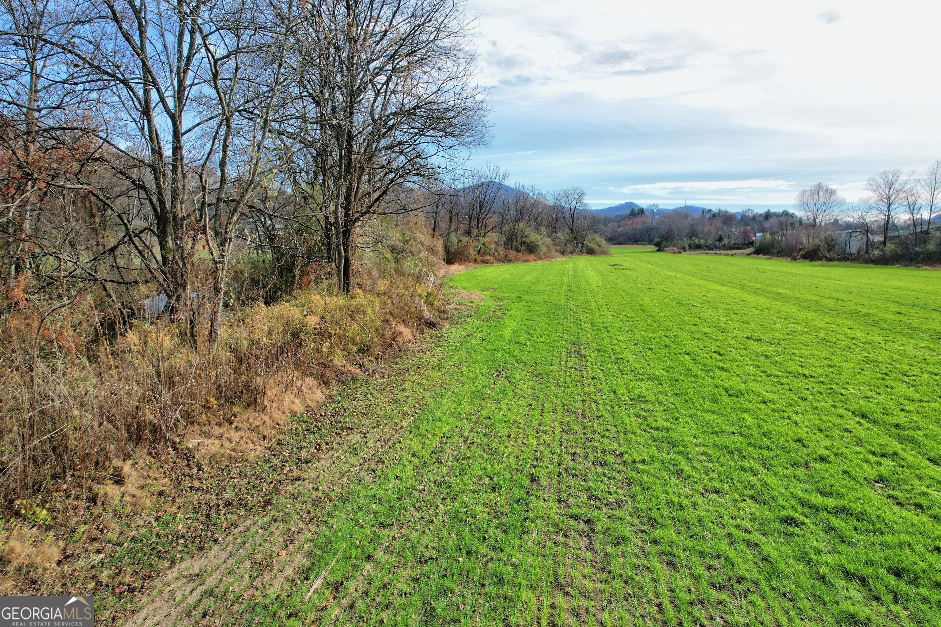 0 North Us Highway Dillard, GA 30537 - Photo 10 of 10 a view of a city with lush green forest