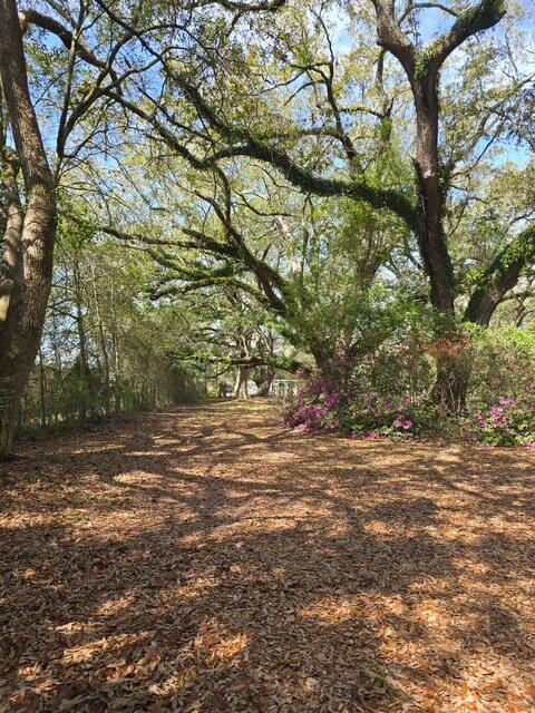 4643 Keyser Lane Pace, FL 32571 - Photo 6 of 14 a view of a yard with a tree