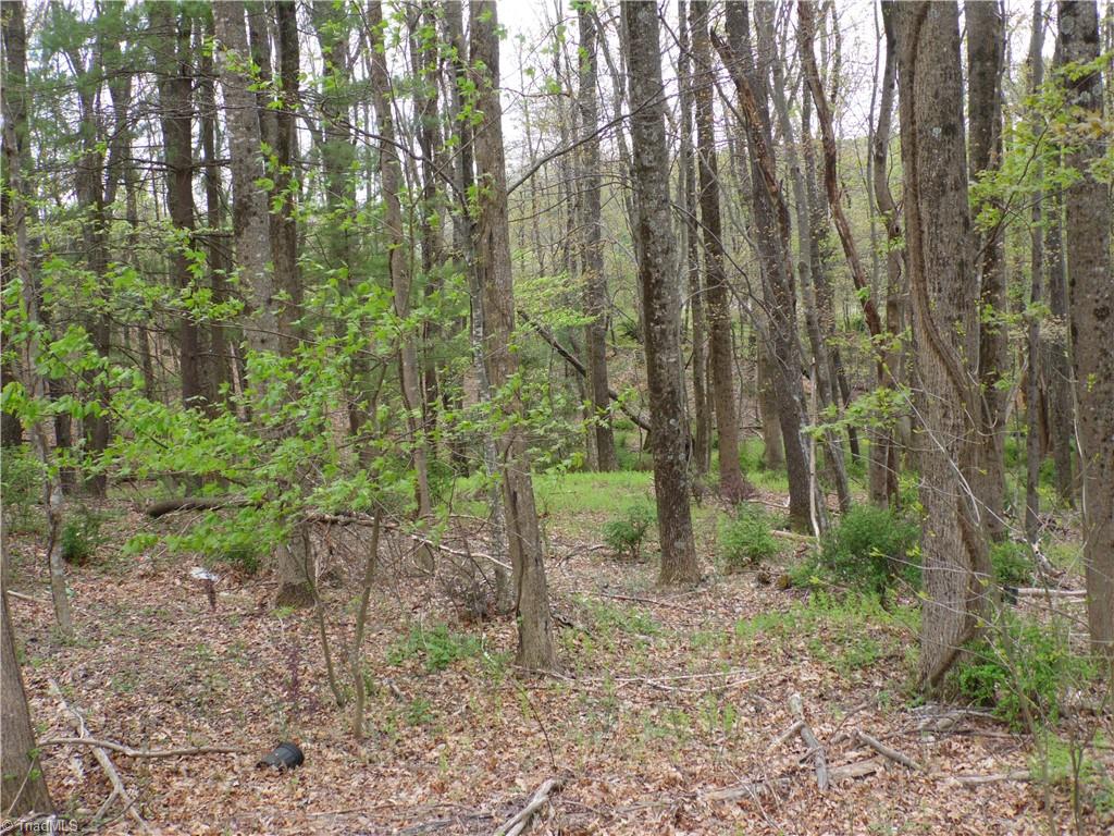 Tbd Acorn Hill Road Sparta, NC 28675 - Photo 11 of 17