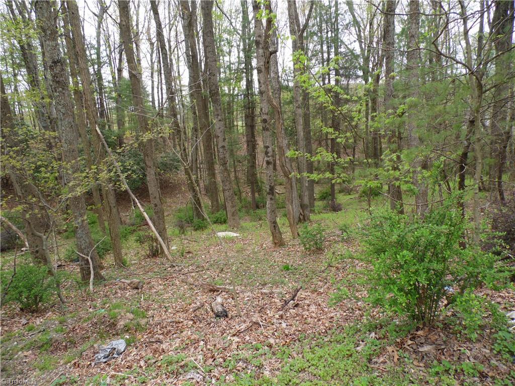 Tbd Acorn Hill Road Sparta, NC 28675 - Photo 12 of 17