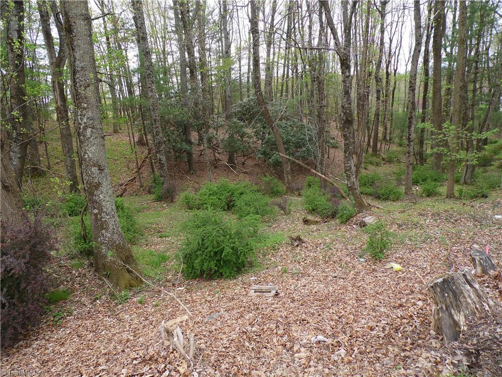 Tbd Acorn Hill Road Sparta, NC 28675 - Photo 13 of 17
