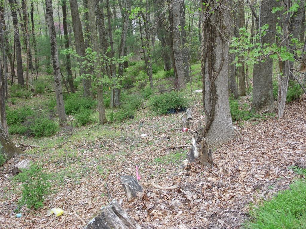 Tbd Acorn Hill Road Sparta, NC 28675 - Photo 14 of 17