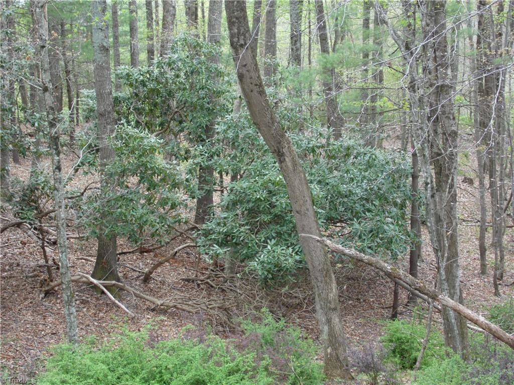 Tbd Acorn Hill Road Sparta, NC 28675 - Photo 15 of 17