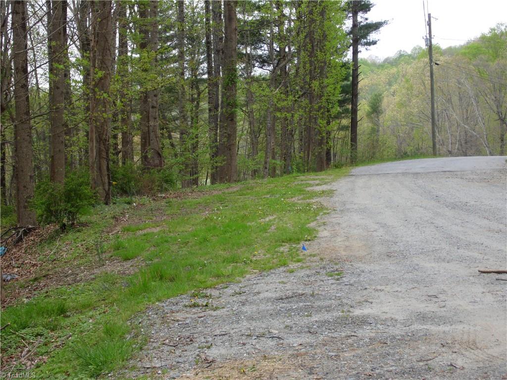 Tbd Acorn Hill Road Sparta, NC 28675 - Photo 16 of 17