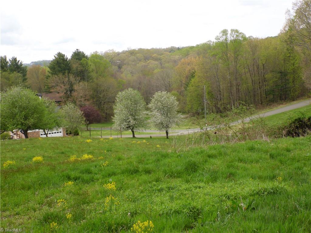 Tbd Acorn Hill Road Sparta, NC 28675 - Photo 3 of 17