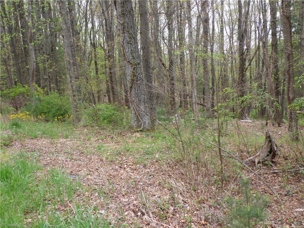 Tbd Acorn Hill Road Sparta, NC 28675 - Photo 10 of 17