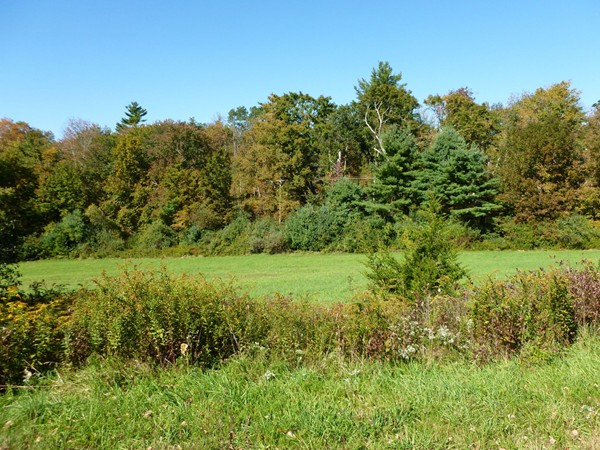 111 Five Bridge Road Brimfield, MA 01010 - Photo 6 of 18 Gallery Image 6