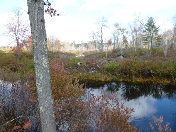 111 Five Bridge Road Brimfield, MA 01010 - Photo 10 of 18 Gallery Image 10