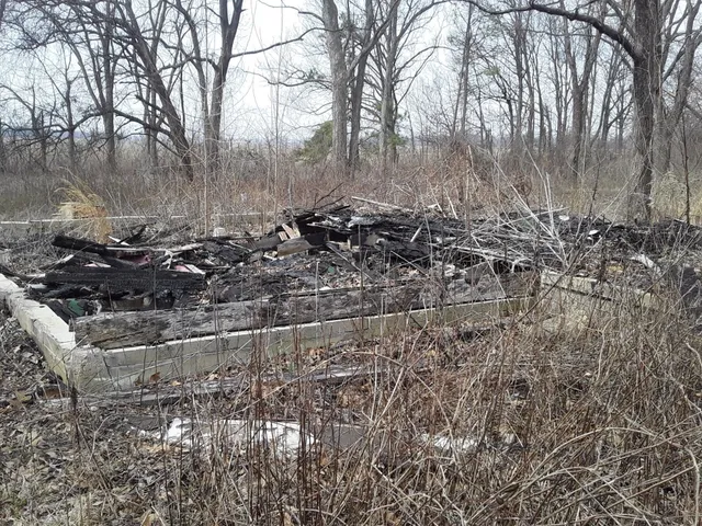 a view of a backyard of the house