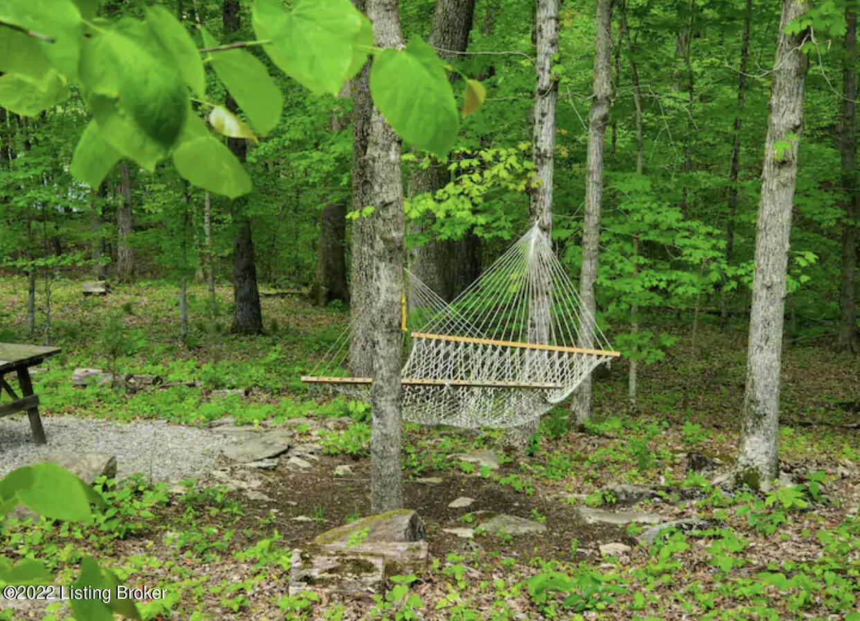 2146 Shores Road Falls Of Rough, KY 40119 - Photo 24 of 26 D7BCE44E-A9A5-4ADF-866D-43EC4B486B42