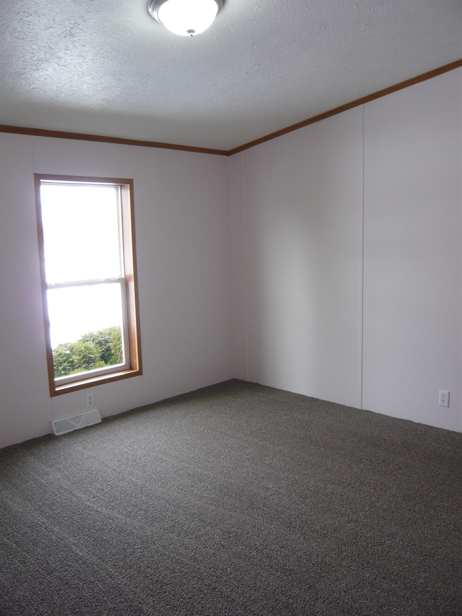 12221 Snow Road Hanover, MI 49241 - Photo 20 of 32 P1050929