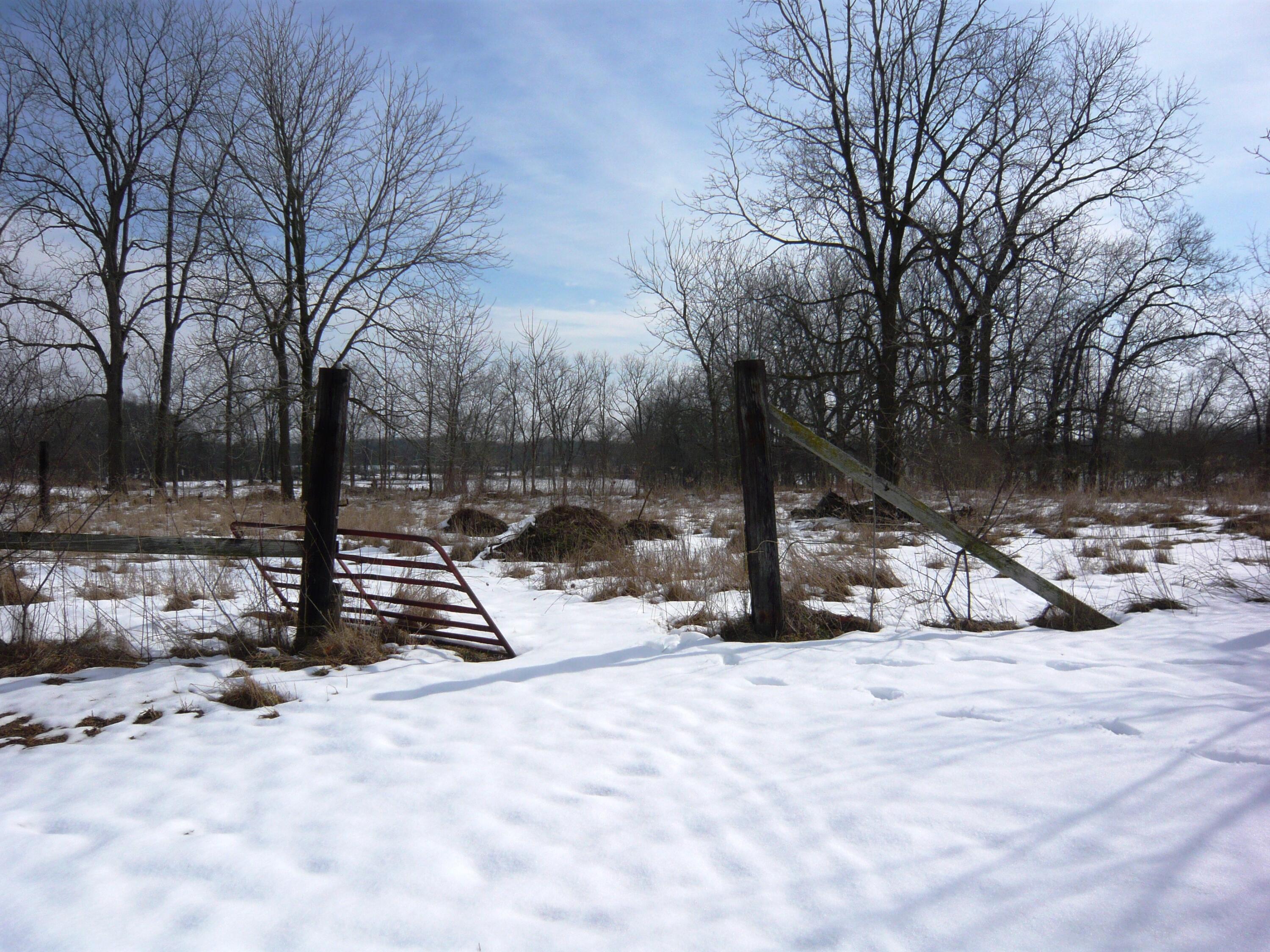12221 Snow Road Hanover, MI 49241 - Photo 32 of 32 P1050948