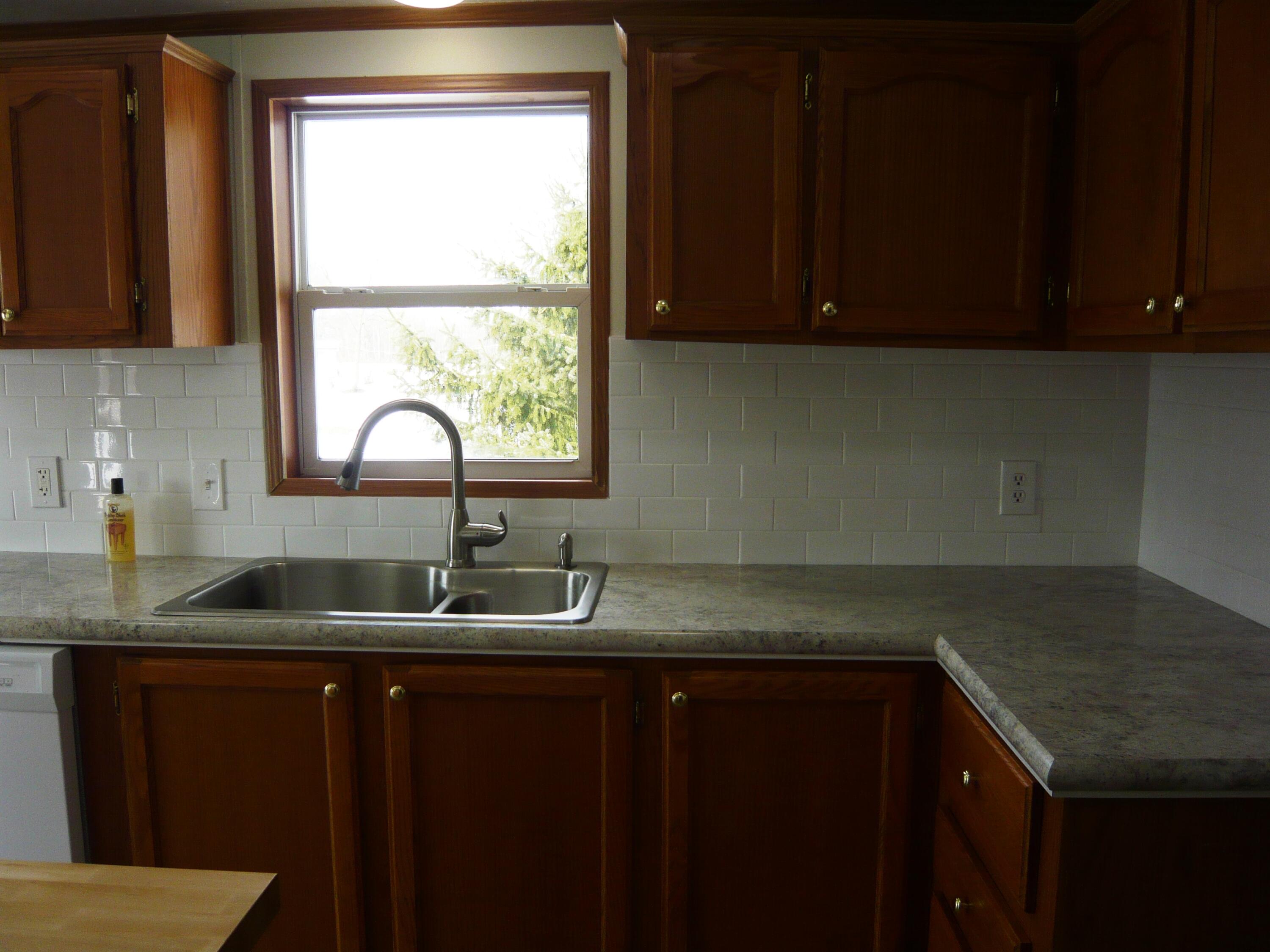 12221 Snow Road Hanover, MI 49241 - Photo 8 of 32 P1050938