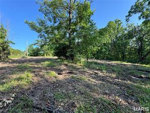 14690 Conway Road Dixon, MO 65459 - Photo 2 of 9