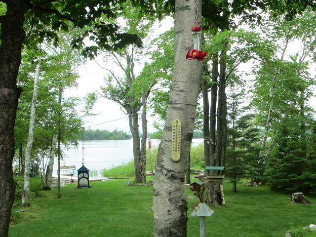 2817 Flowage Road Park Falls, WI 54552 - Photo 16 of 20 Gallery Image 16