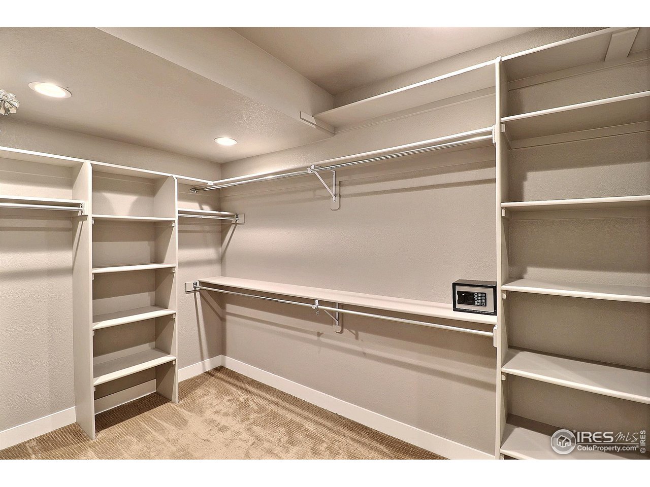 9004 19th Street Greeley, CO 80634 - Photo 43 of 49 a view of walk in closet with empty racks