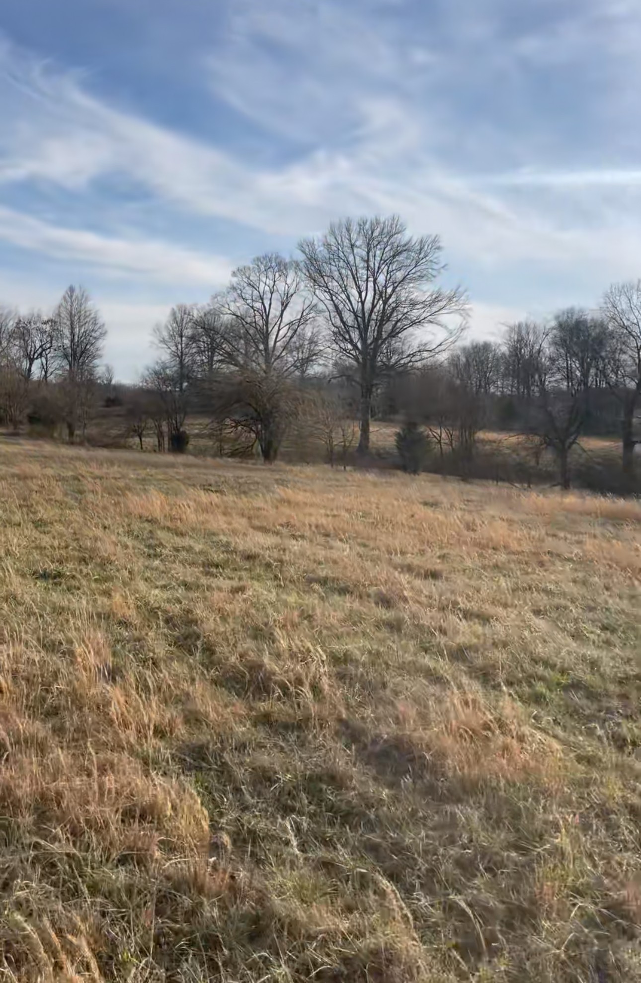 0 Halltown Road Portland, TN 37148 - Photo 8 of 10