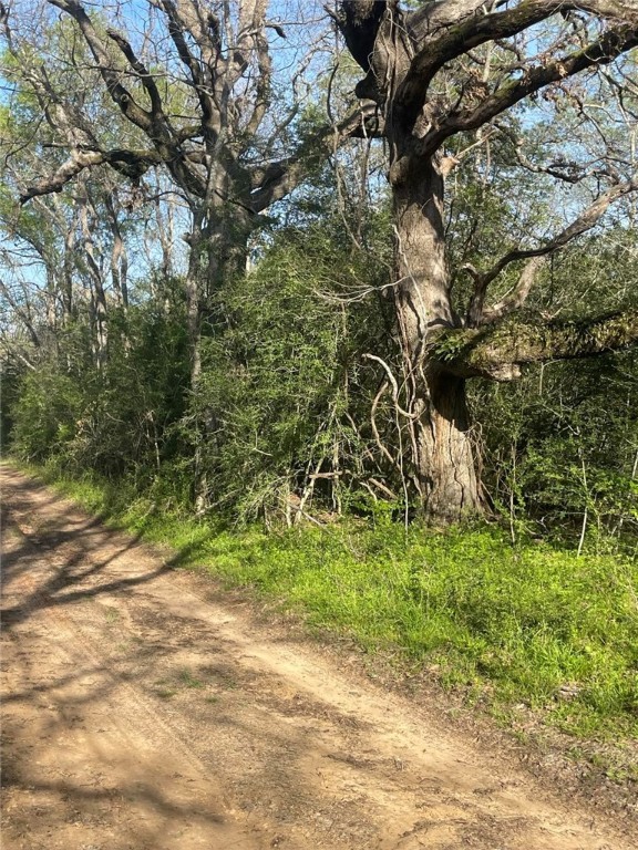 542 Rd Oakwood Tx 75855 Road Oakwood, TX 75855 - Photo 2 of 13