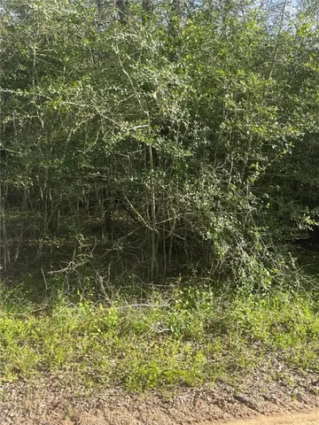 $139,630 | 542 Rd Oakwood Tx 75855 Road, Oakwood, TX 75855