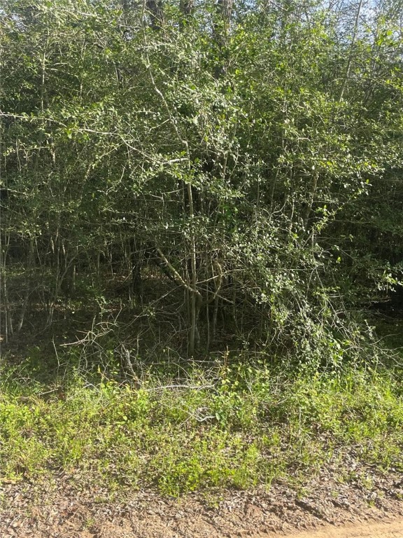 542 Rd Oakwood Tx 75855 Road Oakwood, TX 75855 - Photo 3 of 13