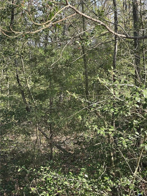 542 Rd Oakwood Tx 75855 Road Oakwood, TX 75855 - Photo 6 of 13