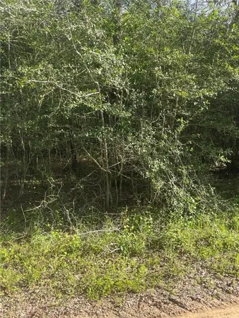 $139,630 | 542 Rd Oakwood Tx 75855 Road, Oakwood, TX 75855