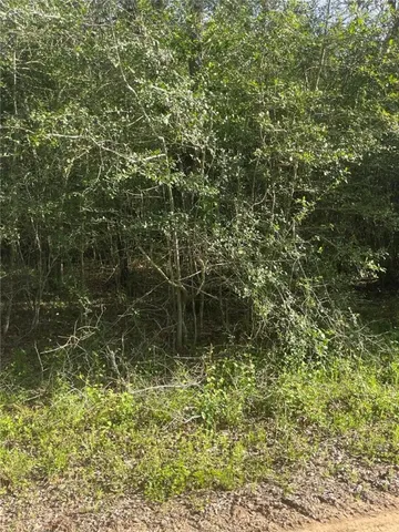 $139,630 | 542 Rd Oakwood Tx 75855 Road, Oakwood, TX 75855