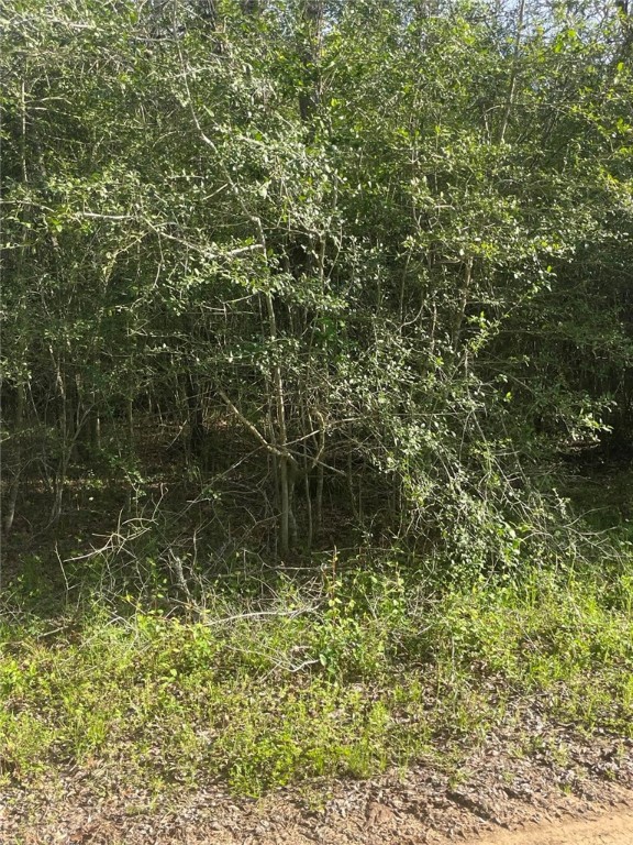 542 Rd Oakwood Tx 75855 Road Oakwood, TX 75855 - Photo 7 of 13