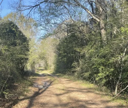 $139,630 | 542 Rd Oakwood Tx 75855 Road, Oakwood, TX 75855