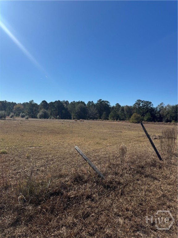 353 Wilder Road Allenhurst, GA 31301 - Photo 14 of 22