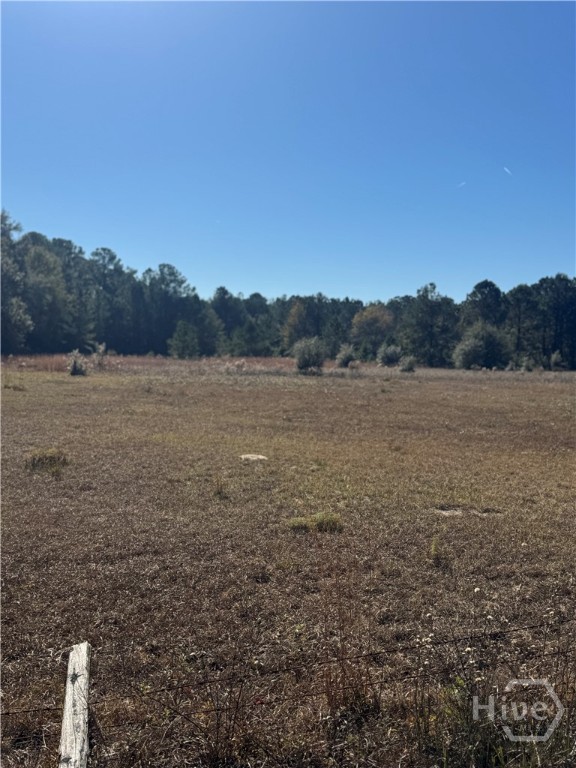 353 Wilder Road Allenhurst, GA 31301 - Photo 16 of 22