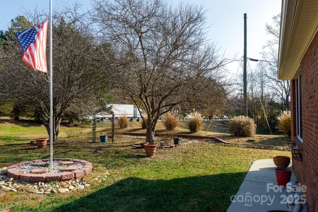 a backyard of a house with plants and large tree