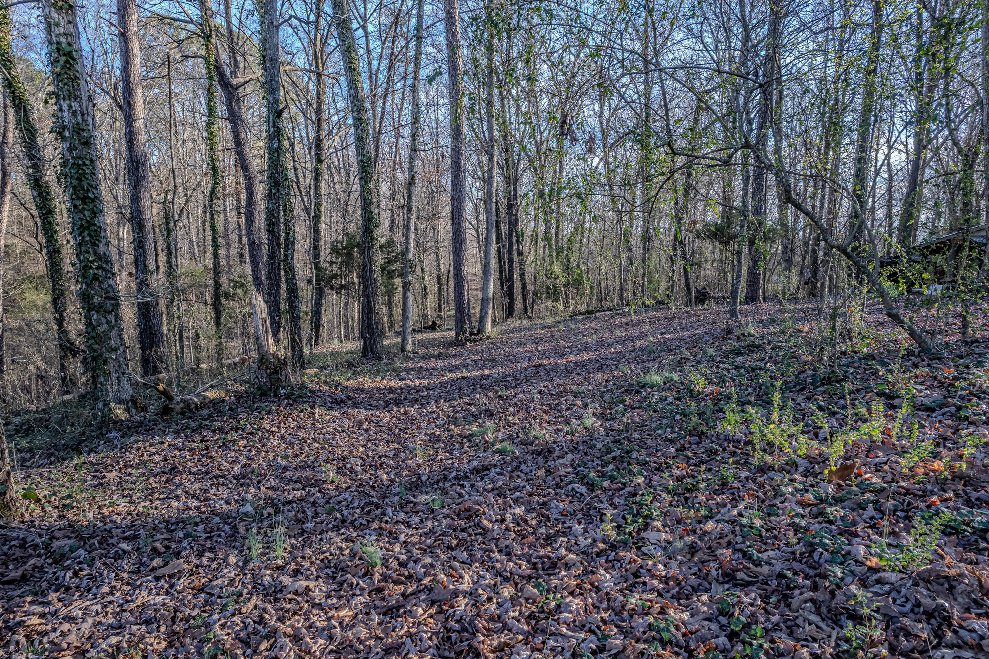 280 County Road 728 Riceville, TN 37370 - Photo 46 of 53 Gallery Image 46