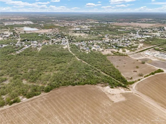 a view of a yard with plants