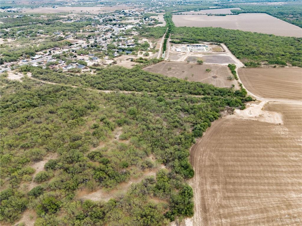 2-3a Fm 1430 Rio Grande City Tx 78582 Rio Grande City, TX 78582 - Photo 4 of 6 a view of a yard with plants