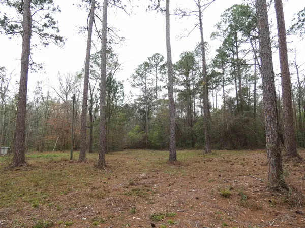 $135,000 | 576 Cox Road, Monticello, FL 32344