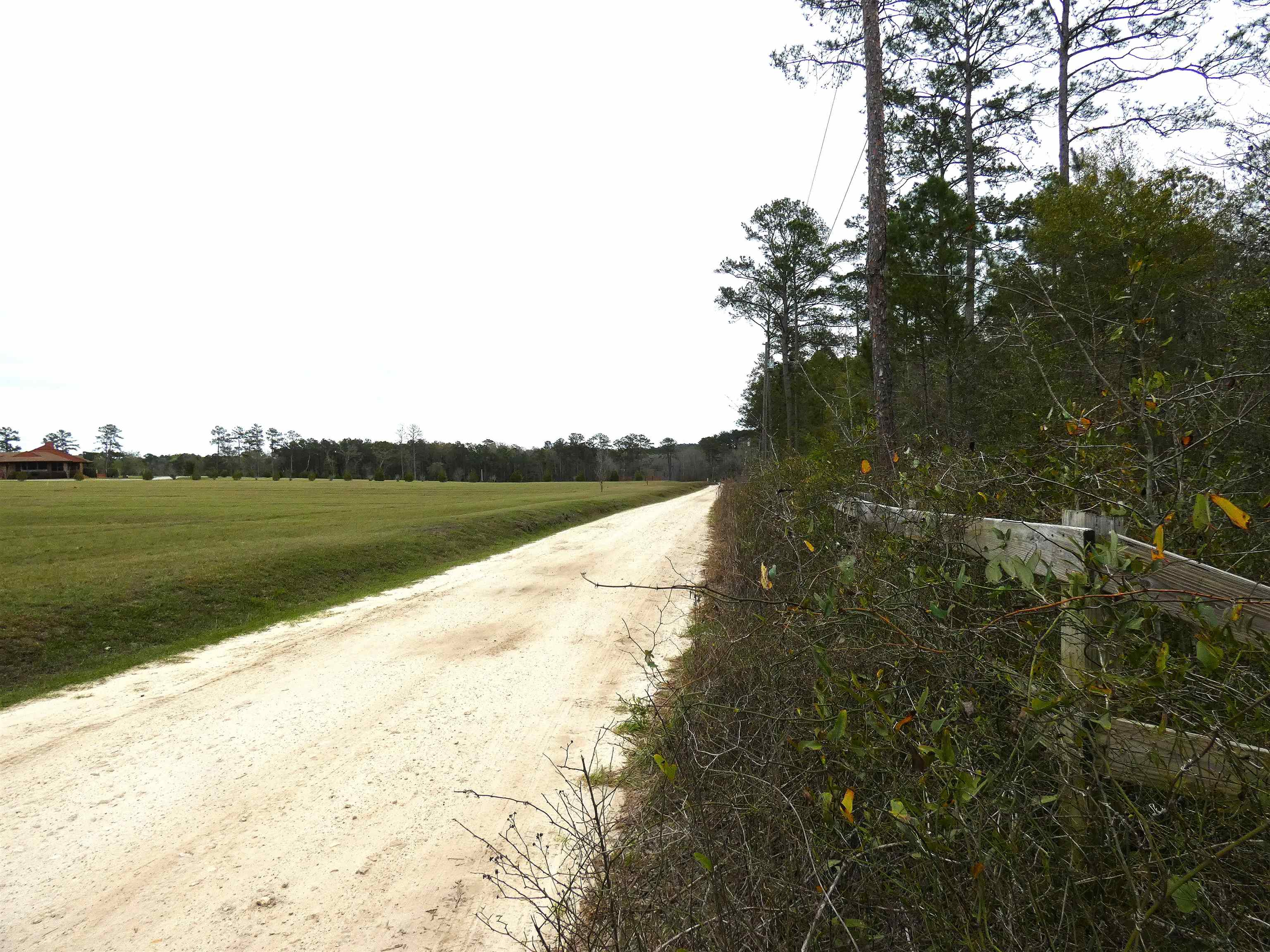 576 Cox Road Monticello, FL 32344 - Photo 5 of 7