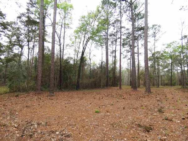 $135,000 | 576 Cox Road, Monticello, FL 32344