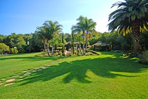 2785 East Valley Road Santa Barbara, CA 93108 - Photo 6 of 9 a view of a park with palm trees