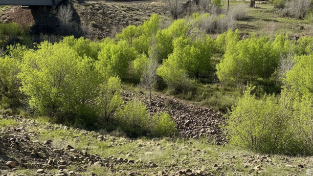 Undisclosed Address Bluebell, UT 84007 - Photo 8 of 9 View of undeveloped land
