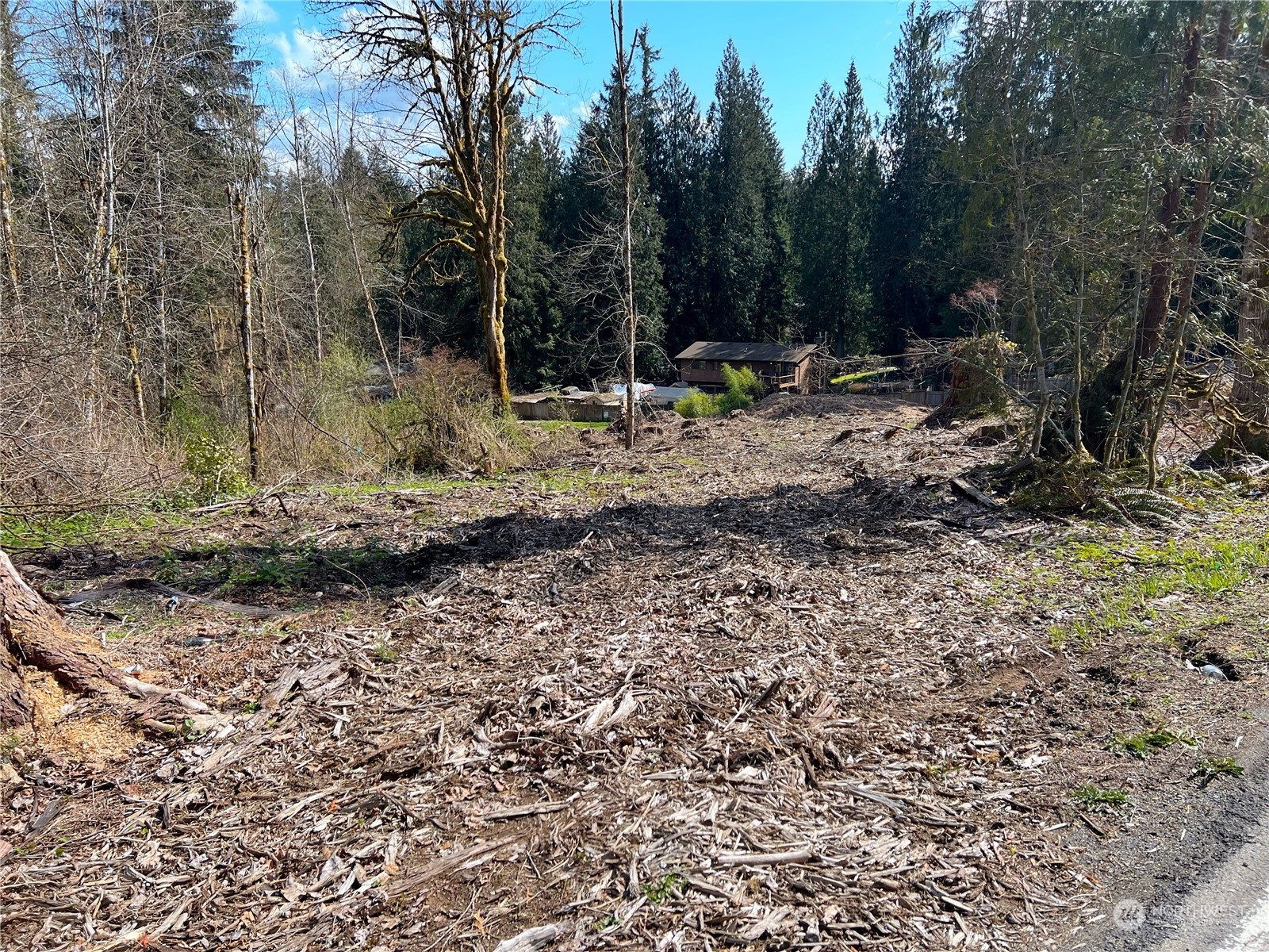 11200 Northeast Fay Road Carnation, WA 98014 - Photo 12 of 17 a view of outdoor space with trees all around