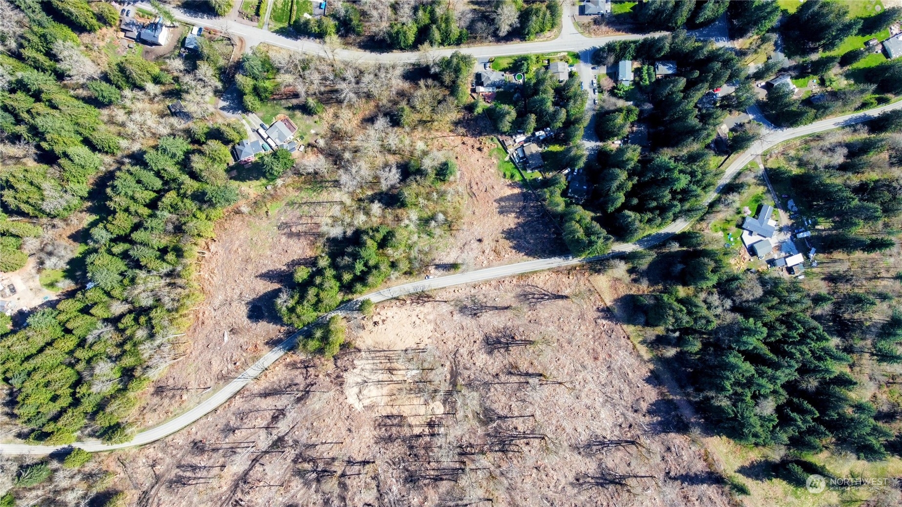 11200 Northeast Fay Road Carnation, WA 98014 - Photo 2 of 17 a plant with lots of trees