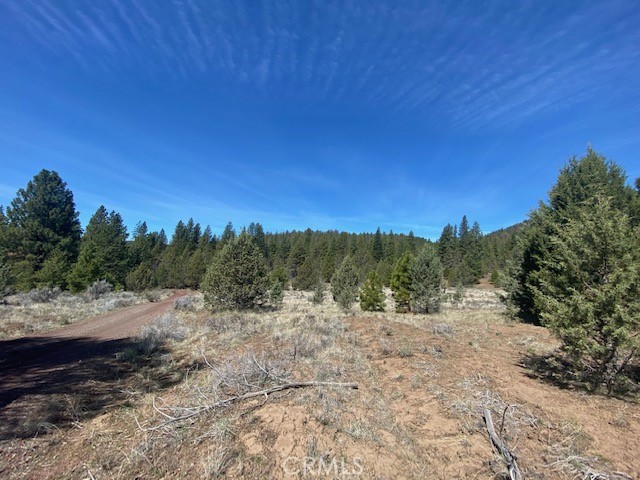 0 Matthews Road Dorris, CA 96023 - Photo 18 of 22 Gallery Image 18