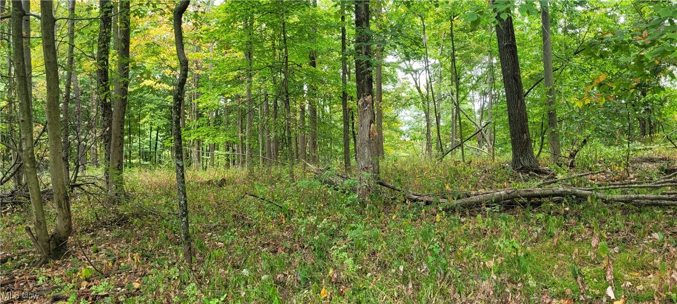 343 County Road Coshocton, OH 43812 - Photo 28 of 49 Gallery Image 28