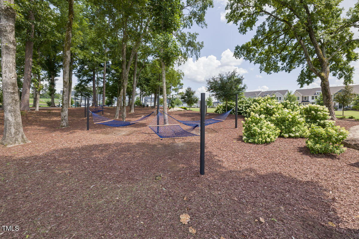 269 Douglas Falls Drive Wendell, NC 27591 - Photo 42 of 51 a view of a house with a backyard